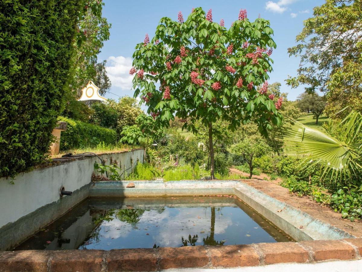 House With Authentic Tiling And Antique Furniture Villa Montemor-o-Novo Exterior foto