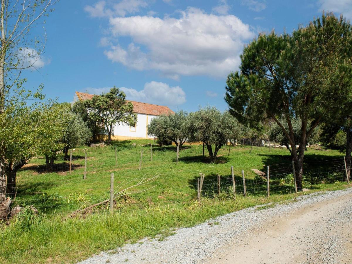 House With Authentic Tiling And Antique Furniture Villa Montemor-o-Novo Exterior foto