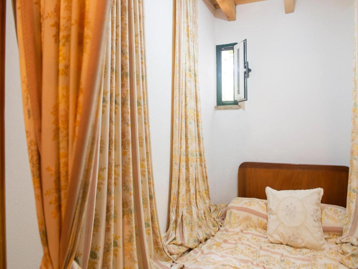 House With Authentic Tiling And Antique Furniture Villa Montemor-o-Novo Exterior foto